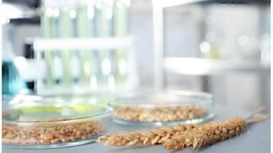 Effectively increase sample turnover and boost data confidence using triple quadrupole ICP-MS