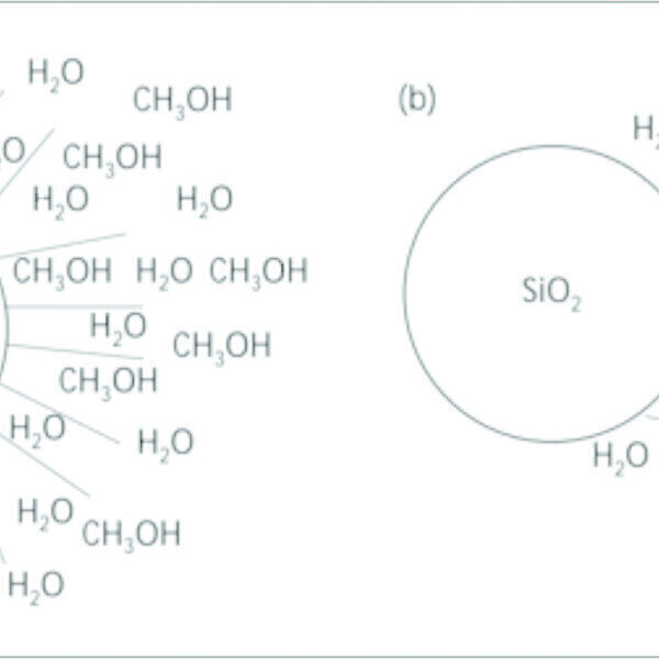 The use of a Reverse Phase (C18AQ) Flash Chromatography Cartridge in Sample Desalting - Vimarsana News