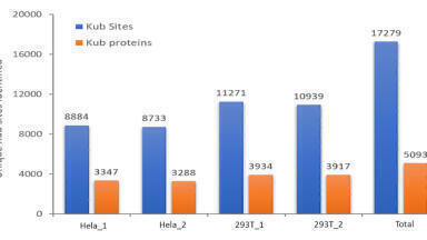 Deep characterisation and quantitative analysis of proteins and post-translational modifications - How TIMS has extended the capabilities of MS and shown considerable potential for improving PTM identification