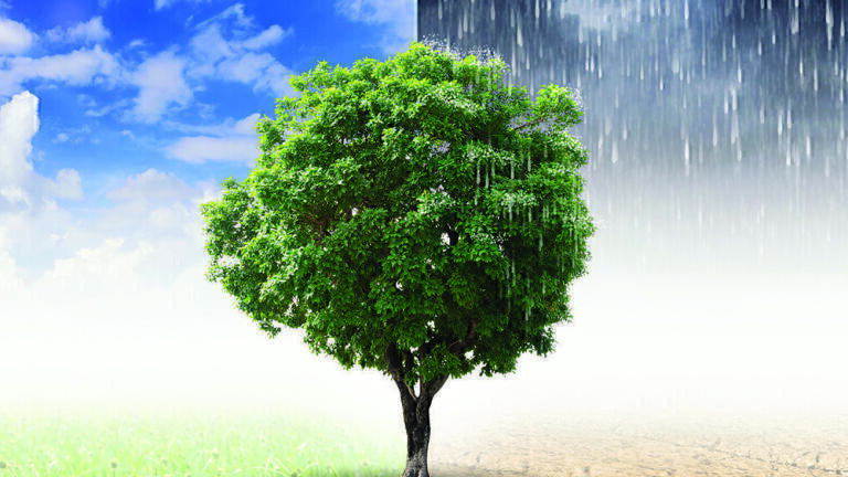 Capturing the Evidence of Weather Impact and Climate Change