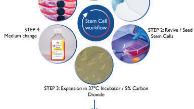 Current and Future Innovations in Stem Cell Technologies