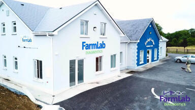 Accurate Testing keeps Farm Animals Healthy
