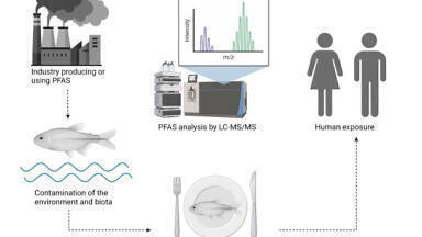 Occurrence of PFAS in a variety of fish species from the Baltic Sea and freshwater locations of Finland
