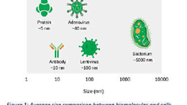 Optimising Viral Vector Purification Strategies with Multimodal Chromatography