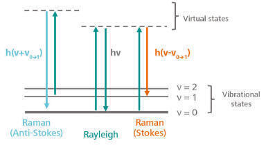 Hyphenated electrochemical-Raman spectroscopy: Another dimension for your research