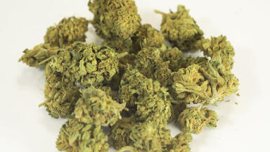 Extracting active ingredients from cannabis plants