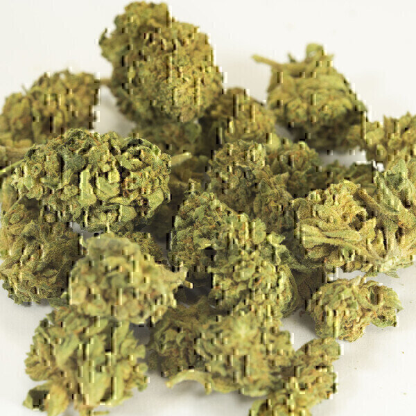 Extracting active ingredients from cannabis plants - Vimarsana News