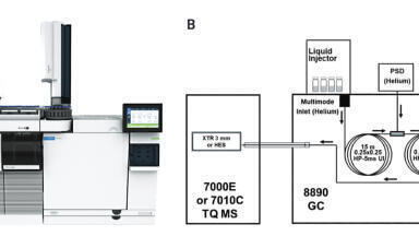 Five Key Practices for Pesticide Analysis in Challenging Food Matrices by GC/MS