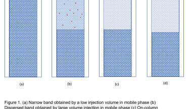 On-Column Sample Focussing: a Personal Perspective