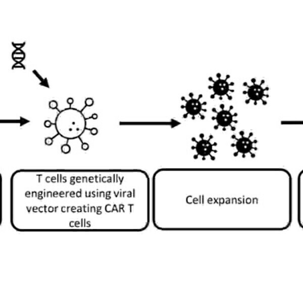Integration of microfluidic approaches with cell therapy manufacturing through collaboration between academia and industry - Vimarsana News