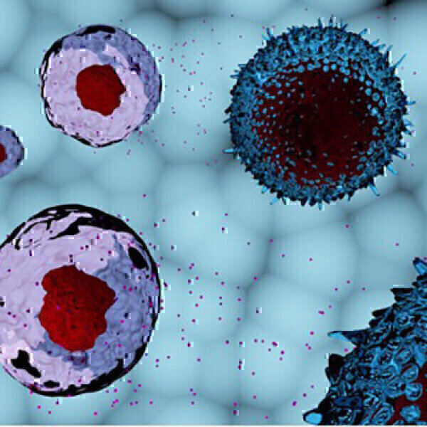 Exosomes: A Promising New Tool for Diagnostic and Clinical Applications - Vimarsana News
