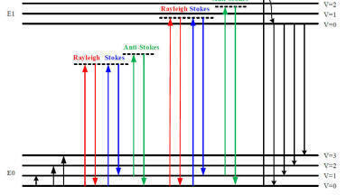 A universal method for the identification of body fluid traces for forensic purposes based on Raman spectroscopy