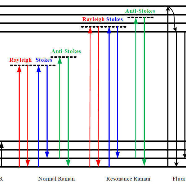 A universal method for the identification of body fluid traces for ...