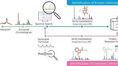 Navigating the Complexities of E&L Analysis in Medical Devices