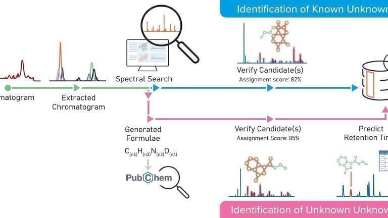 Navigating the Complexities of E&L Analysis in Medical Devices