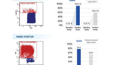 Unravelling the complexities of the bone marrow in multiple myeloma research