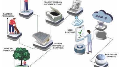 Single-molecule detections at point-of-care: is this a dream?