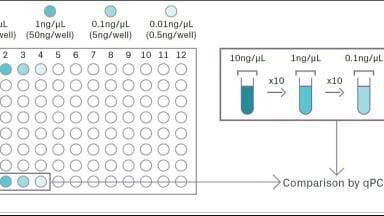 Avoiding DNA adsorption to tube walls in NGS sample preparation