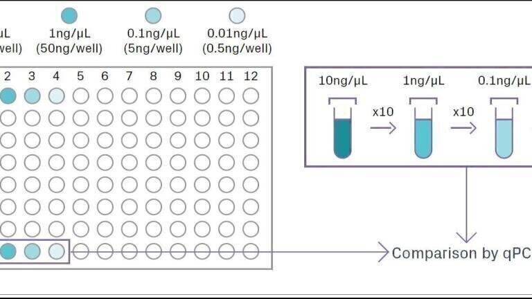 Avoiding DNA adsorption to tube walls in NGS sample preparation