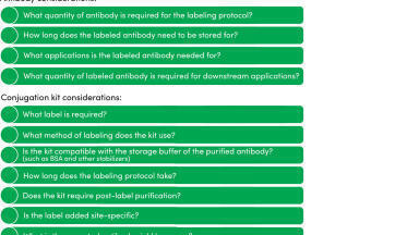 Enhancing immunoassay design through antibody conjugation kits