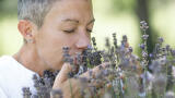 Tracing the scent – new analytical standards for environmental odour assessment