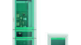 Analysis of Anions and Oxoanions using Ion Chromatography Mass Spectrometry (IC-MS)