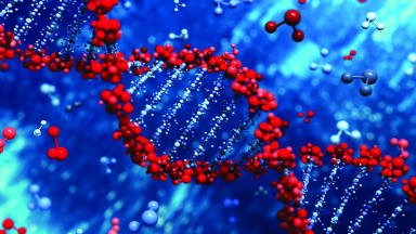 Embracing automation to boost plasmid DNA production
