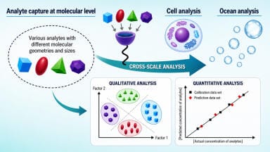 Chemical sensors could bridge molecular, cellular and environmental water analysis
