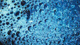 Automated Solid Phase Extraction of EPA 525.2, Semi-Volatile Organic Compounds in Drinking Water
