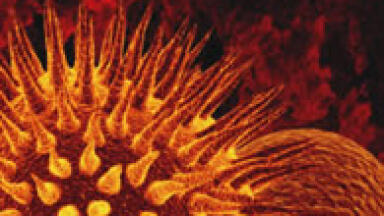 The X-ray Component of the Nanospect/CT Small-Animal Imaging System