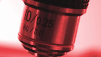 The Bigger Picture - A Macro View of Fluorescence
