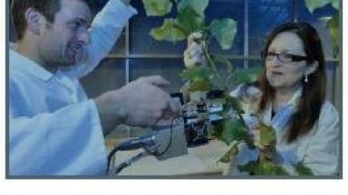 Southampton Joins Global Race to Develop Biofuels