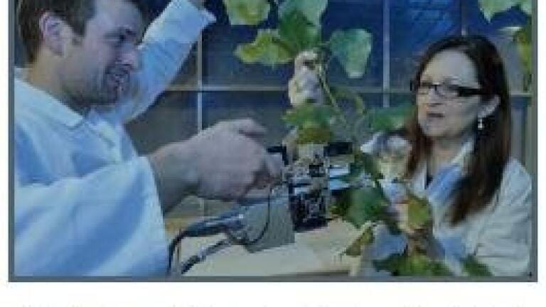 Southampton Joins Global Race to Develop Biofuels