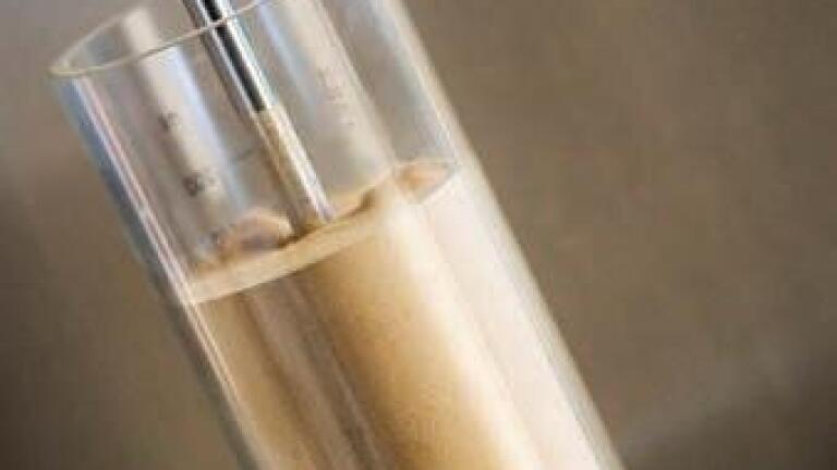Papers and Posters on Powder Characterisation