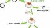 Platform for a Complete Drug Discovery Solution