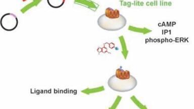 Platform for a Complete Drug Discovery Solution
