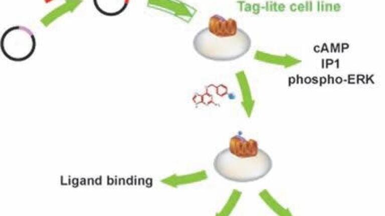 Platform for a Complete Drug Discovery Solution