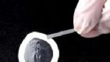 Biotechnology: Thin Collagen Gel Membrane for 3d Cell Culture