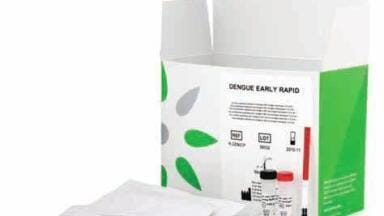 Detect Dengue from the First Day Fever Appears