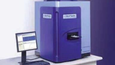 Single Cell Expression Data Offers Detailed Molecular Understanding Of Embryonic Development