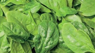 LC/MS Platform Detects 510 Pesticides in Complex Food Samples