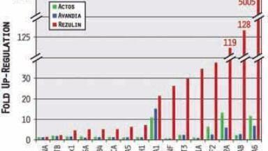 Pathway-Focused Gene Expression Panels Validated for Real-time PCR