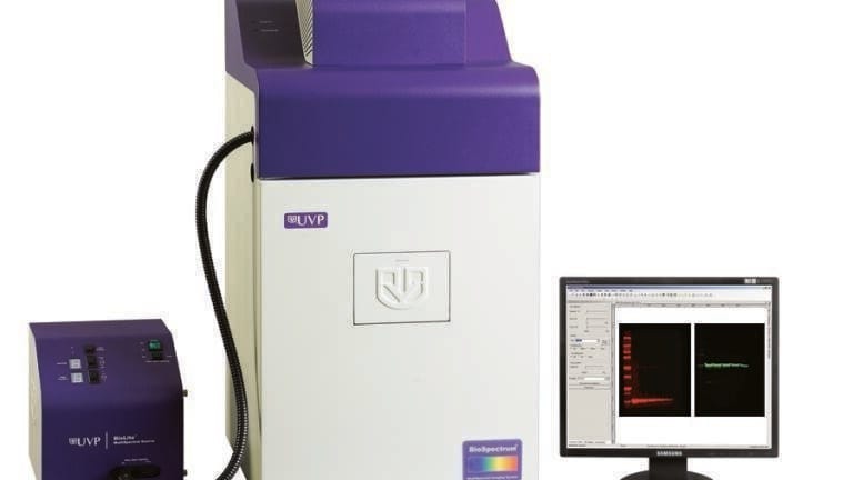Multiplex NIR Imaging of Protein Blots with the UVP BioSpectrum® System and BioLite™ MultiSpectral Source