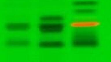 Image Evaluation in HPTLC - More Comfortable and More Reliable