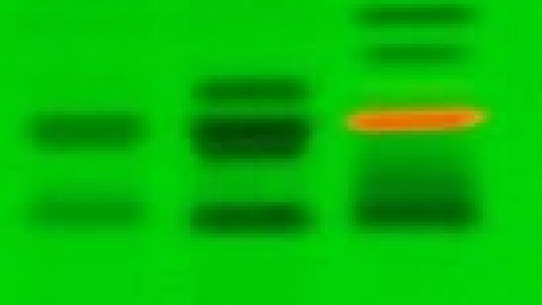 Image Evaluation in HPTLC - More Comfortable and More Reliable