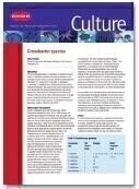 Culture Journal Explores Cronobacter Species and Mycobacterium Bovis