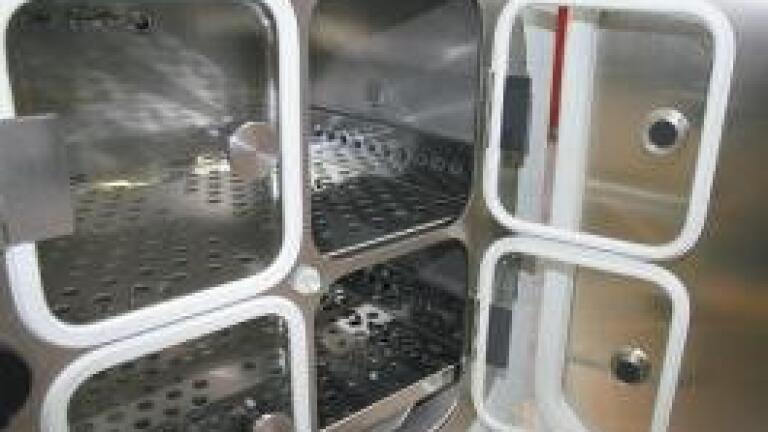 BINDER CB 53 with Divided Inner Glass Door