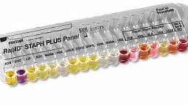 Food Testing Labs offered Simple Range of Biochemical Identification Panels