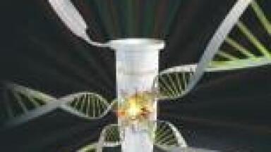 New Kapa Express Extract – From Sample to PCR in less than 15 Minutes
