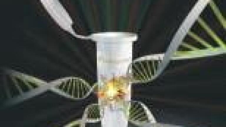 New Kapa Express Extract – From Sample to PCR in less than 15 Minutes